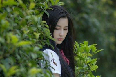 增之去_当于羽杀卿子冠军之时也 《打一成语》