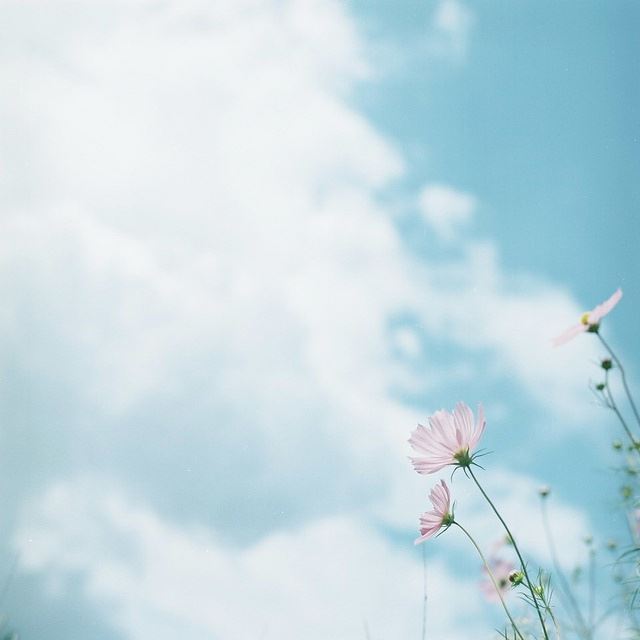 丰收歌 《打一成语》