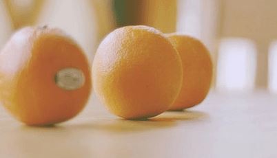 葬 《打一成语》