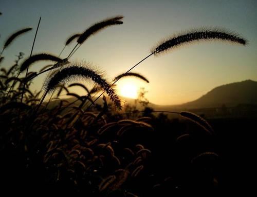 猜谜语题目:看上去有两头牛,其实一头也没有《打一个字》