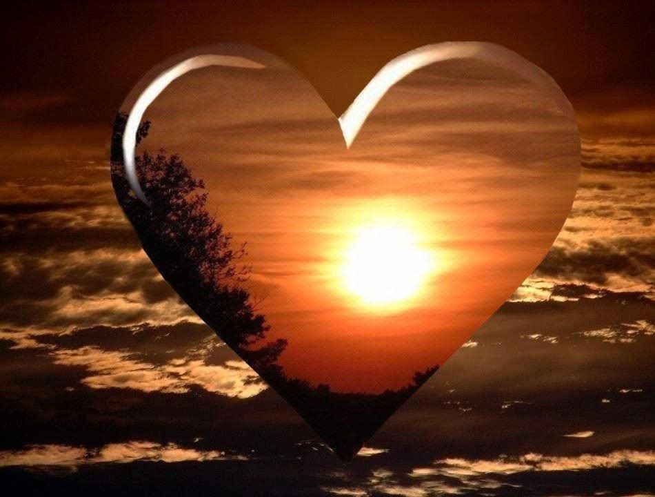 造福于天下百姓 《名牌电器》