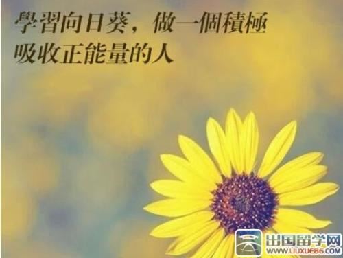 景德黄毛无嗅觉_宜兴锦羽不司晨 《打一成语》