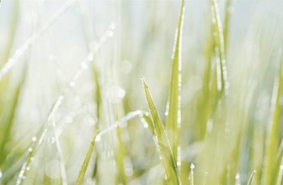 谏争郑履入南宫 《打一成语》