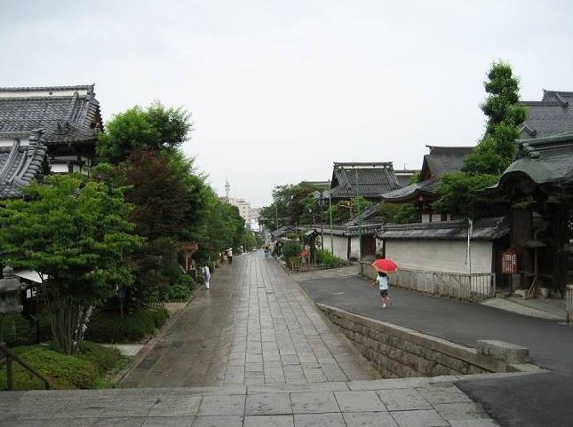 颜色白如雪_身子硬如铁_一日洗三遍_夜晚柜中歇-《猜一生活用品》
