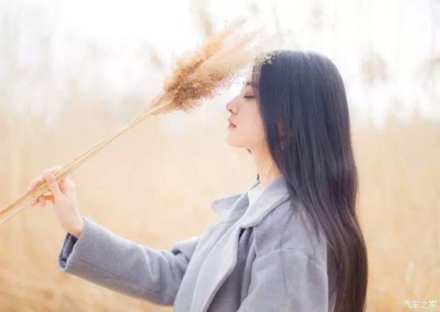 诗颂家乡唱道情 《成语_卷帘格》