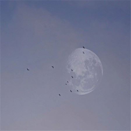 爹爹有,娘亲无;梦里有,醒来无;死了有,活着无;夜里有,白天无-《打一字谜》