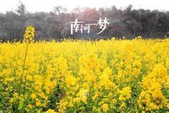 屡次败北乃天意 《打一成语》