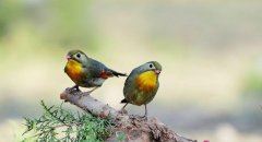 分咱一人一点　《猜医学词语》