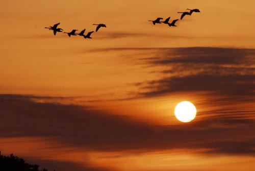 文武两全《猜一字谜》