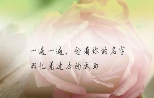 凝目视万里 《打一成语》