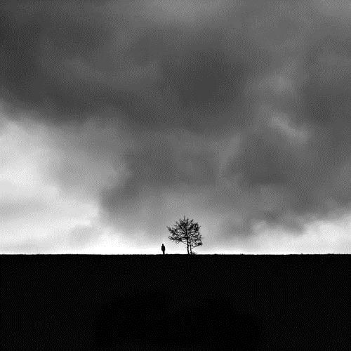 腿长胳膊短_眉毛遮住眼_有人不吭声_无人大声喊-　《猜昆虫一》