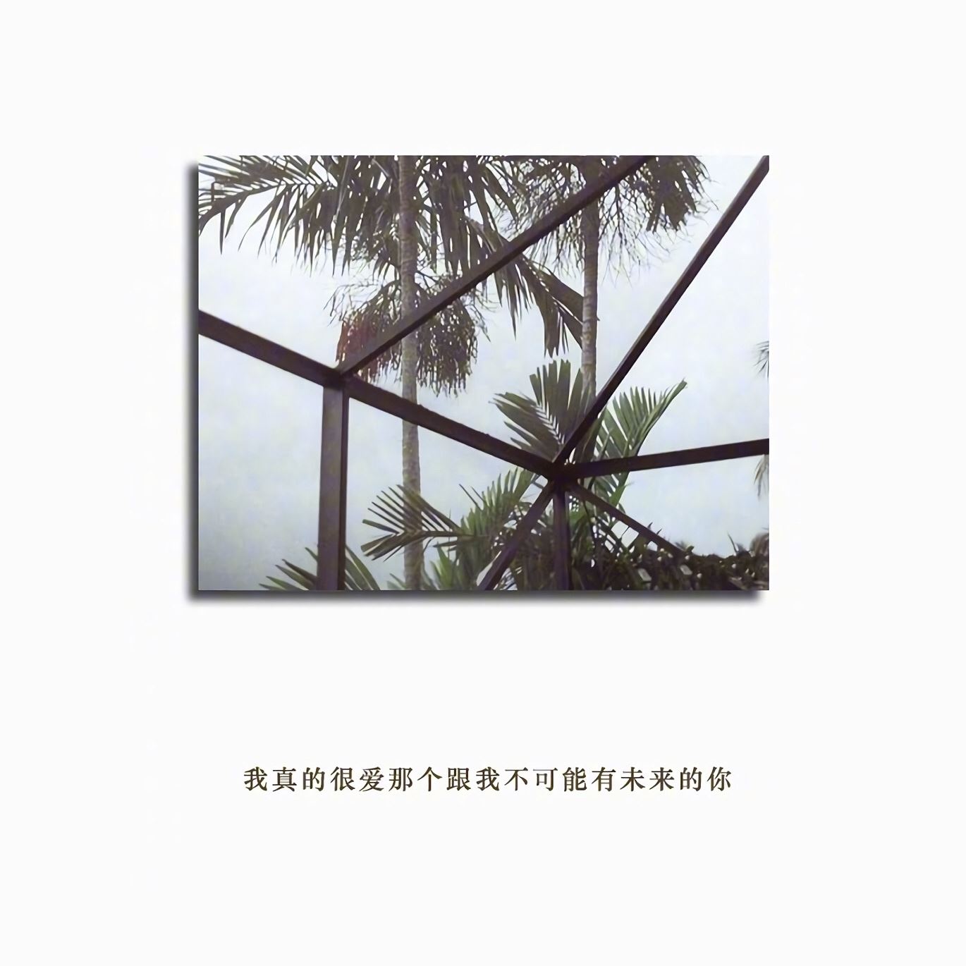 一遭灾油价那个涨！ 《打一成语》