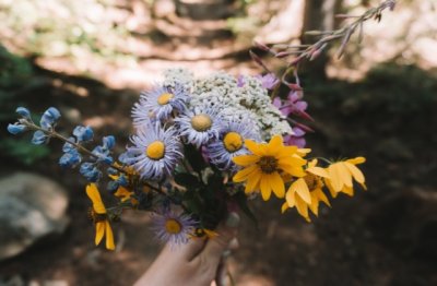 《绮红小史》_堪称佳著 《4字姜夔词句》