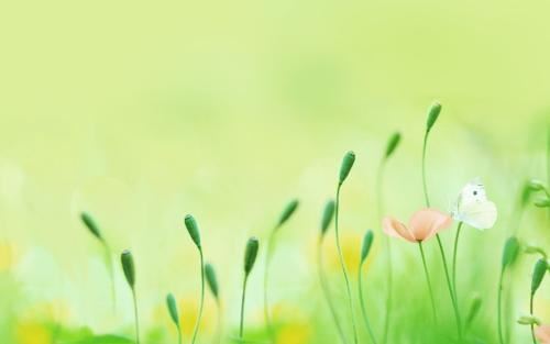 卧龙吊孝不非周 《多字成语》