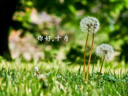 心上人窗前独处　《猜10笔字》