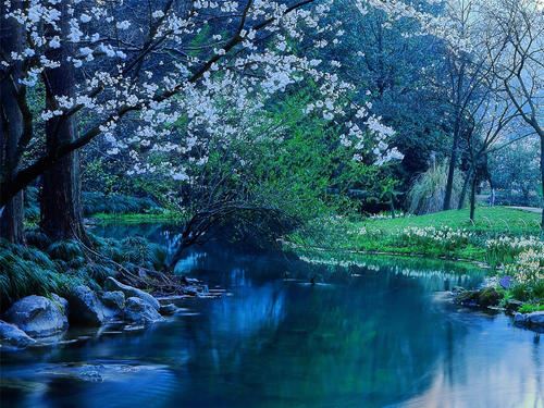 杰出人才实难寻 《党史人物连称谓》