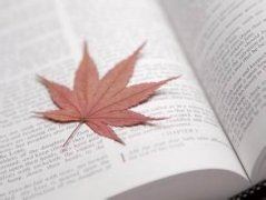 有面没有口_有脚没有手_虽有四只脚_自己不会走-《猜一家具》