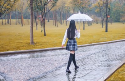 住在台湾乡下的老童_每早都有公鸡叫起床_现在到了美国儿子家_无论公鸡如何叫