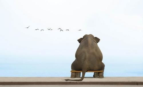 七人头上长了草《猜一字谜》