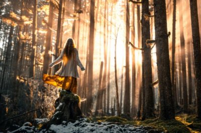 两人合称美猴王 《电影》