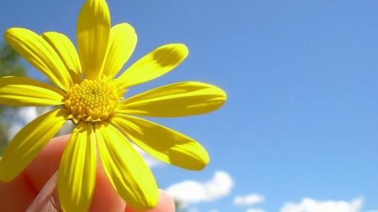 猜谜语题目:十分一个元宵《打一个体育用语》