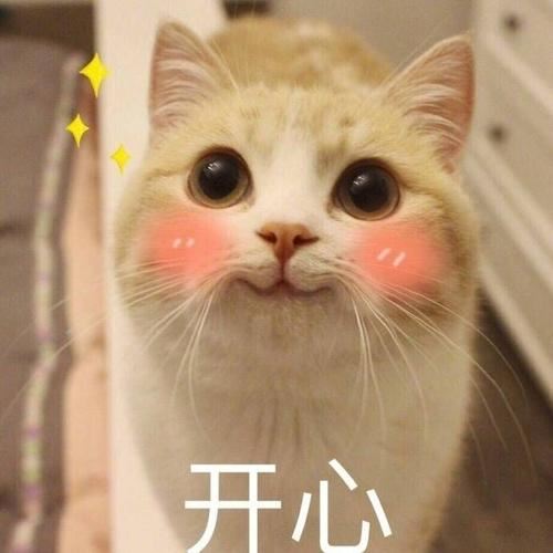 口比肚子大_给啥就吃啥-它吃为了你_你吃端着它《猜一日常用品》