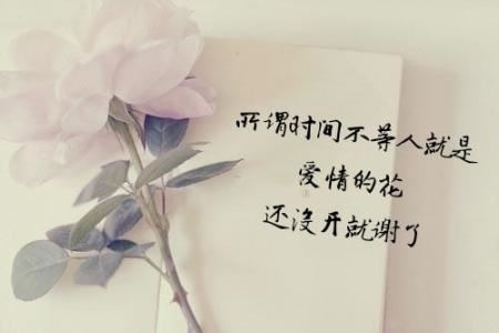 猜谜语题目:真心相伴《打一个字》