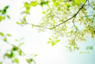 天台岫_逢阮刘_真佳偶 《打一成语》