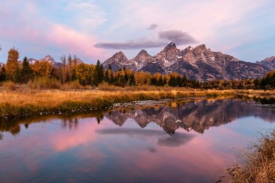 两撇小胡子_油嘴小牙齿_贼头又贼脑_喜欢偷油吃《猜一动物》