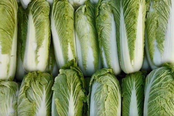 有朵花人喜爱,有时闭来有时开,雨天开在大街上,花根就在手中栽《打一个生活物品》