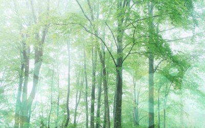 省吃省用还贷款　梨花格《猜国家名》