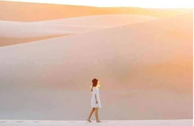 脊背突起似山峰_沙漠之中能负重_风沙干旱全不怕_隔壁滩上是英雄-　《猜行走