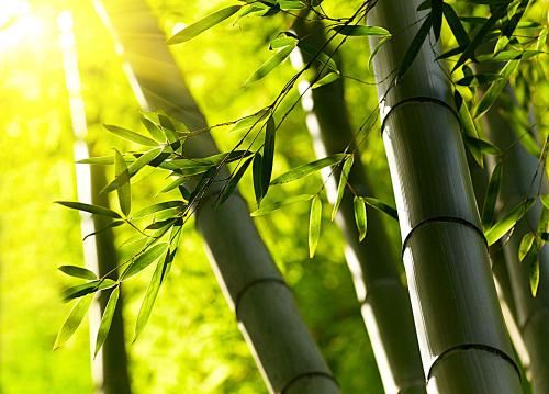 加速须适度 《成语_卷帘格》