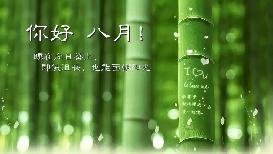 钢铁骏马不停蹄,日夜前进不休息,蹄声滴答似战鼓,声声催人争朝夕《打一个物品》