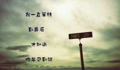只因误导作检讨 《打一成语》