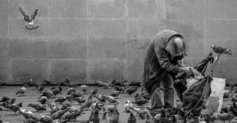 身穿绿袍小英雄,夏天田里捉害虫,冷风吹来找不见,春天又在池塘里《打一个动物》