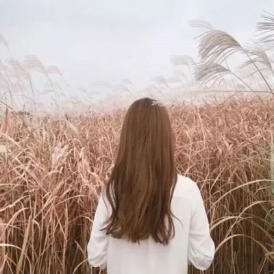 肥胖有害想减肥 《打一成语》