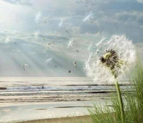 “放眼愁天压_低头觉地空” 《三国演义人物》