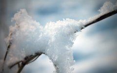 猜谜语题目:骑兵凯旋《打一个词牌名》