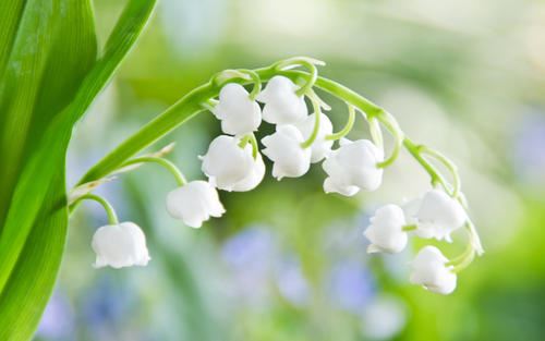 毁林酿成大错误　《猜15笔字》