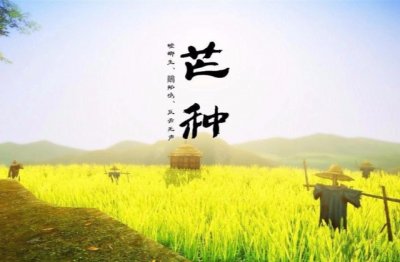 空心树,实心芽,千年不结子,万年不开花-《打一植物名》