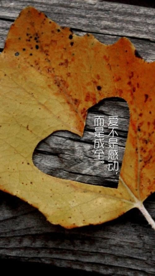 出口国外 《打一字》