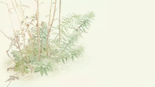 来年春归否 《打一成语》