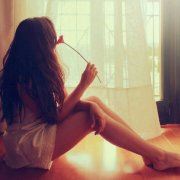 明星出行早安排 《蔬菜品种》