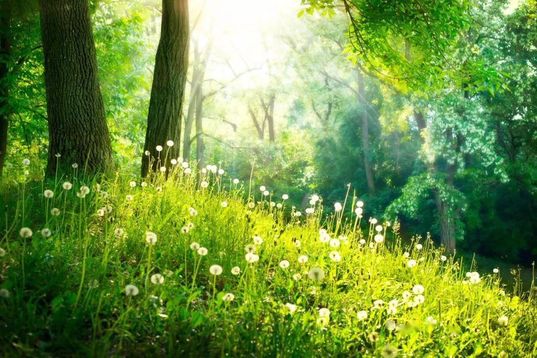 不名一文　《猜科学家名一》