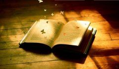 没手没脚会松土-　《猜动物一》