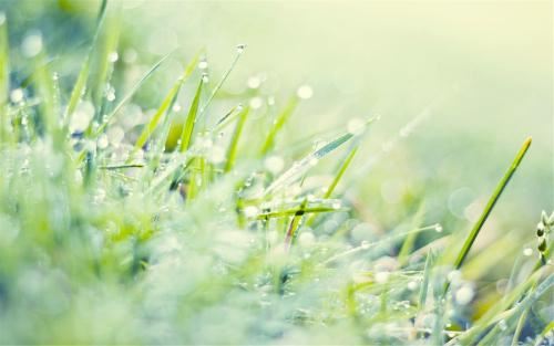 头戴尖角帽,身穿黄皮袄,做工出大力,从不怕疲劳《打一个动物》