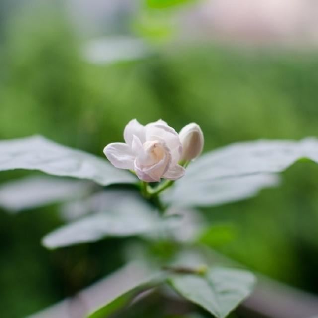 前赴温州务工_三点起飞　《猜云南地名》