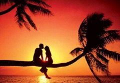 What is ＂four feet on four feet waiting for four feet?