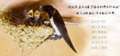 会稽之仇不可忘 《多字成语》